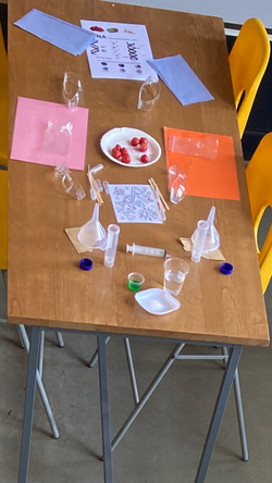 20230726_115104000_iOS