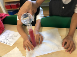 20221019_151227778_iOS