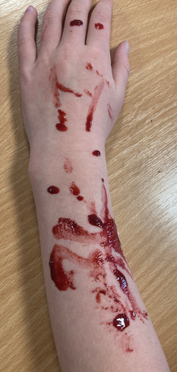 20241017_152958082_iOS