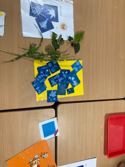 20230907_111538352_iOS