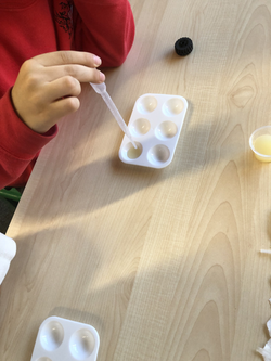 20221018_150515602_iOS