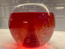 20250121_080037640_iOS