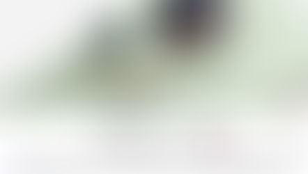 The Wait is Over: Pre-orders for the HUAWEI Pura 70 Series Start in Qatar