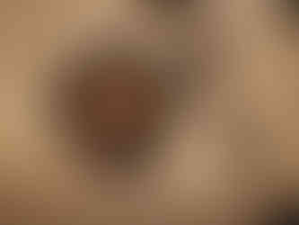 The ant nest at Under