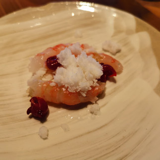 Shrimp at RE-NAA