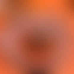 Salmon ceviche Spiseriet