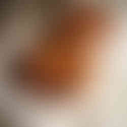 Amazing bread Pigalle