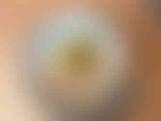 Jerusalem artichoke at Bellies