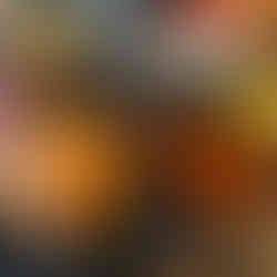 Burger and fries at The Shack