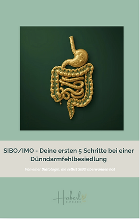 SIBO & IMO behandeln – 5 einfache Schritte für bessere Verdauung