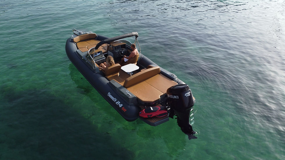 Miniature : Marlin 24SR