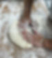 ACCUEIL - 3_edited.jpg