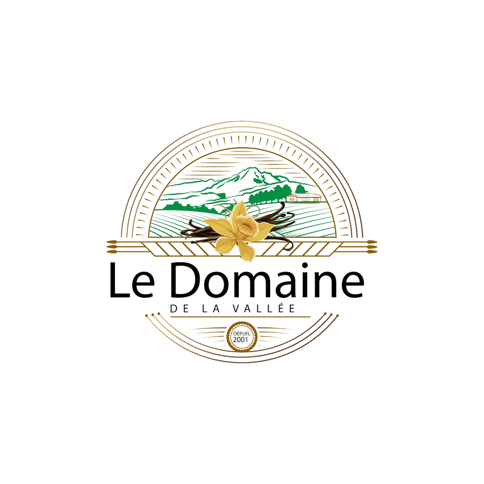 logo domaine de la vallée_edited_edited.png