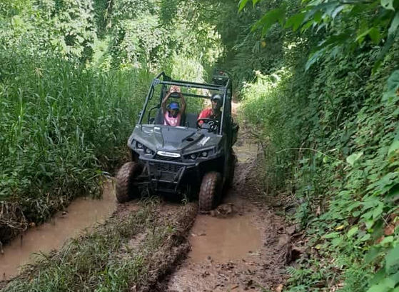 Buggy roulant dans un chemin boueux entouré de végétation dense en Martinique.