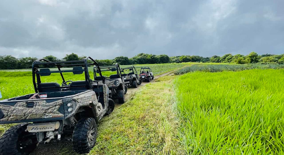 Trial Caraibes, randonnées buggy Martinique.jpeg.jpeg