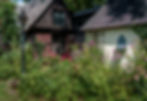 Wrapped in blooms, the cottage seems to blossom too - a living canvas where walls and petals share the same gentle light.