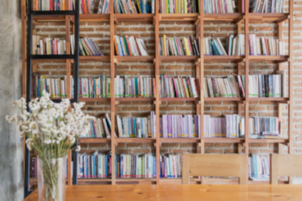 Cozy Bookshelves