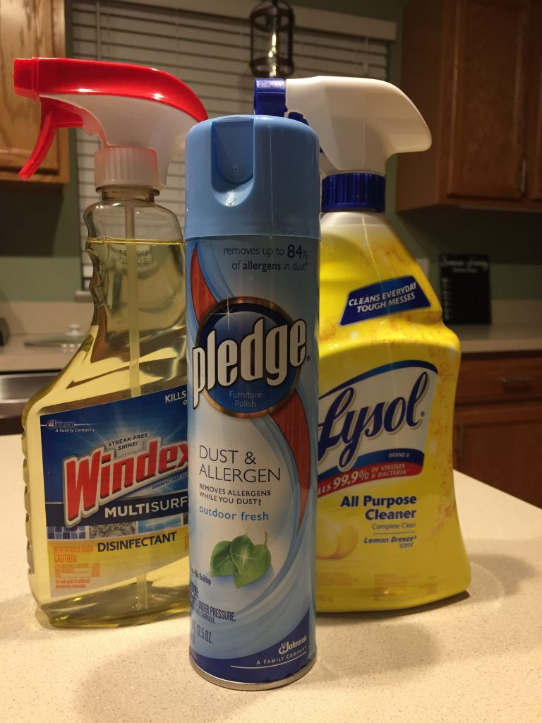 Maintaining Meghan - Cleaning