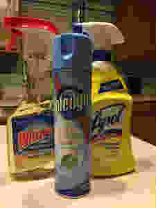 Maintaining Meghan - Cleaning