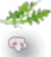 popularDishesShape1_1.png