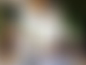 Villa Beirut Unveils Its Newest Location on Sheikh Zayed Road, Dubai — A Blend of Contemporary Design and Lebanese Culinary Heritage