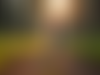 Why Fitness Transforms Your Life