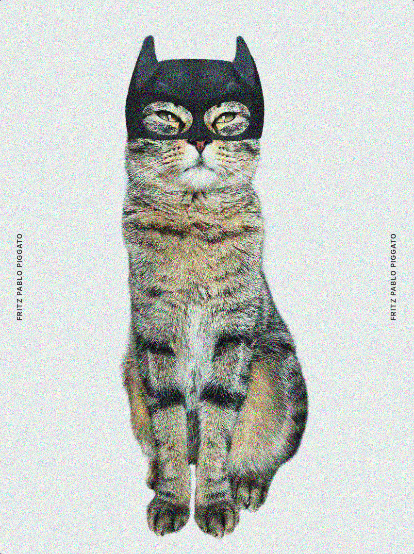 Fritz P GATO