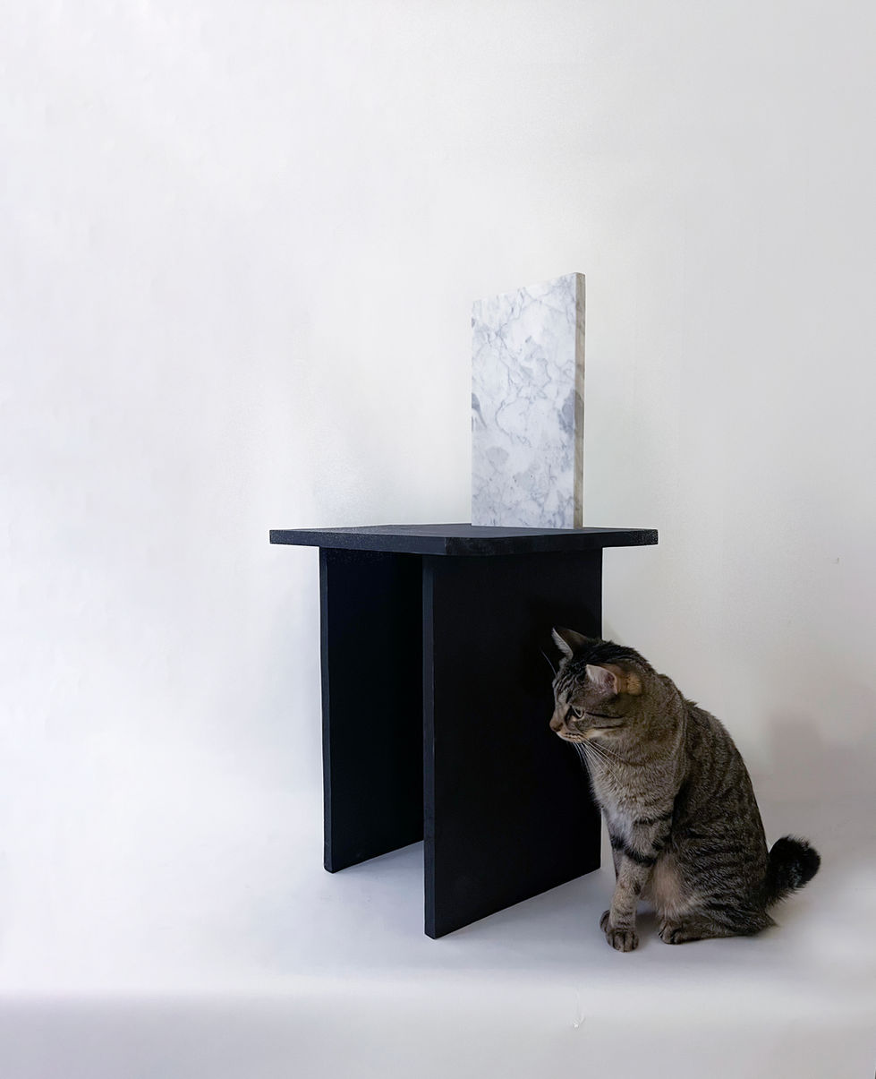 P GATO_05