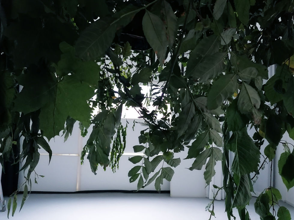 TheProtagonist_Interactibe Installation_06