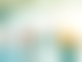 Brand and IP Protection