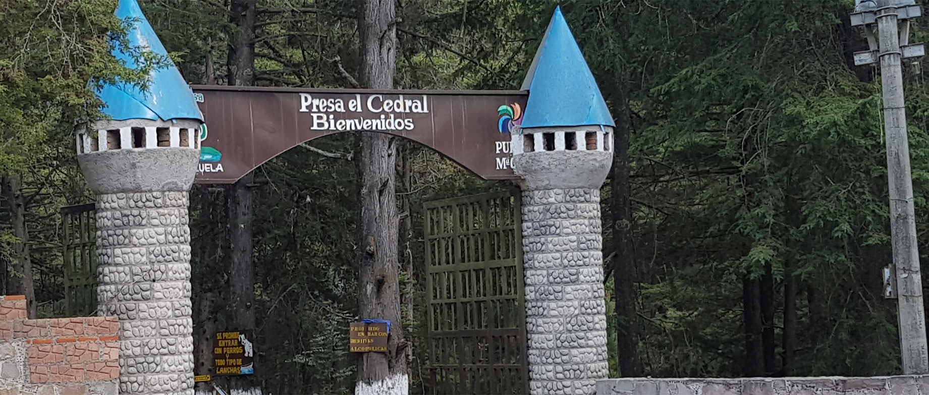 Portada.png