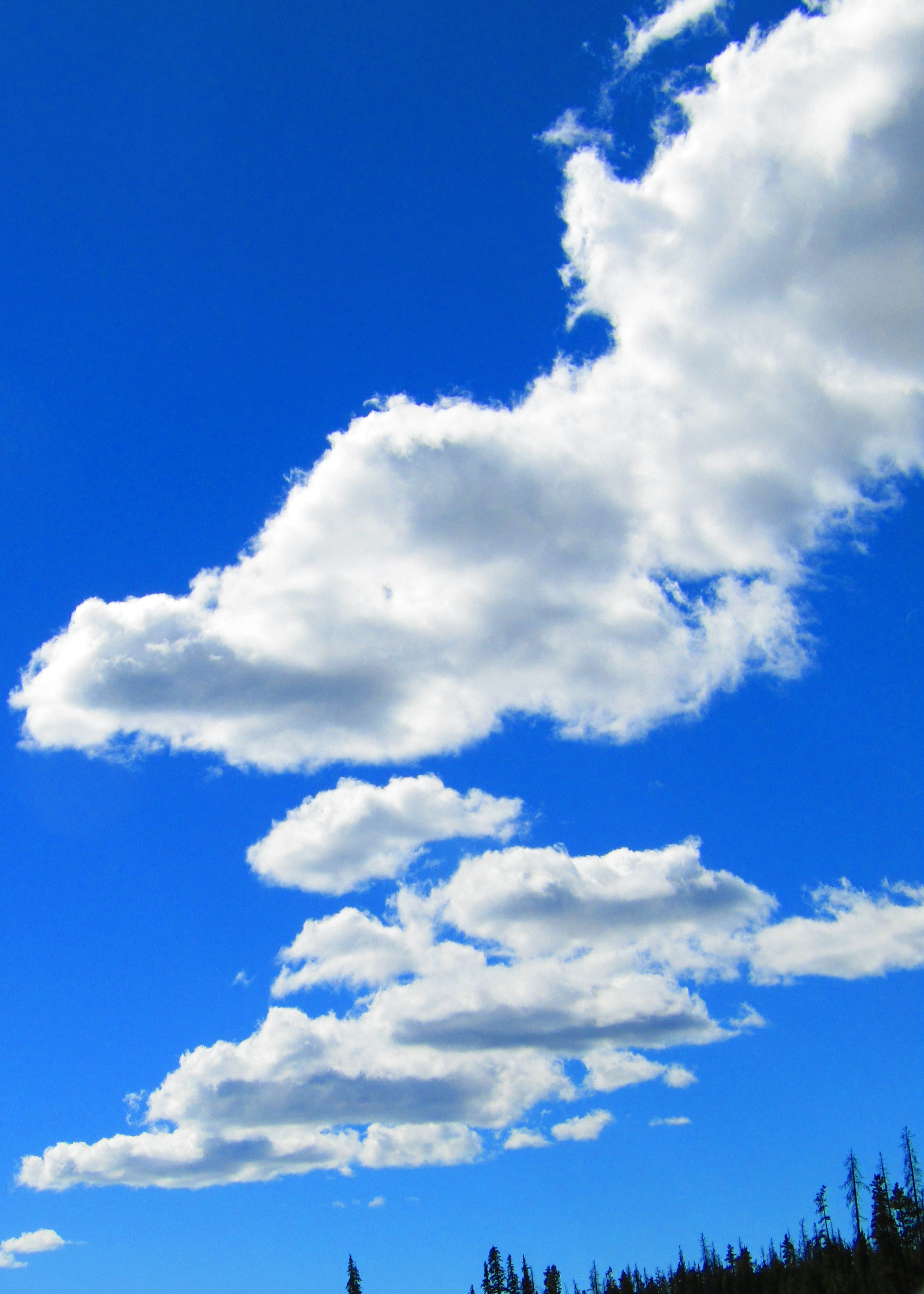 Find Life's Magic Program