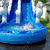 Thumbnail: DOLPHIN WATER SLIDE