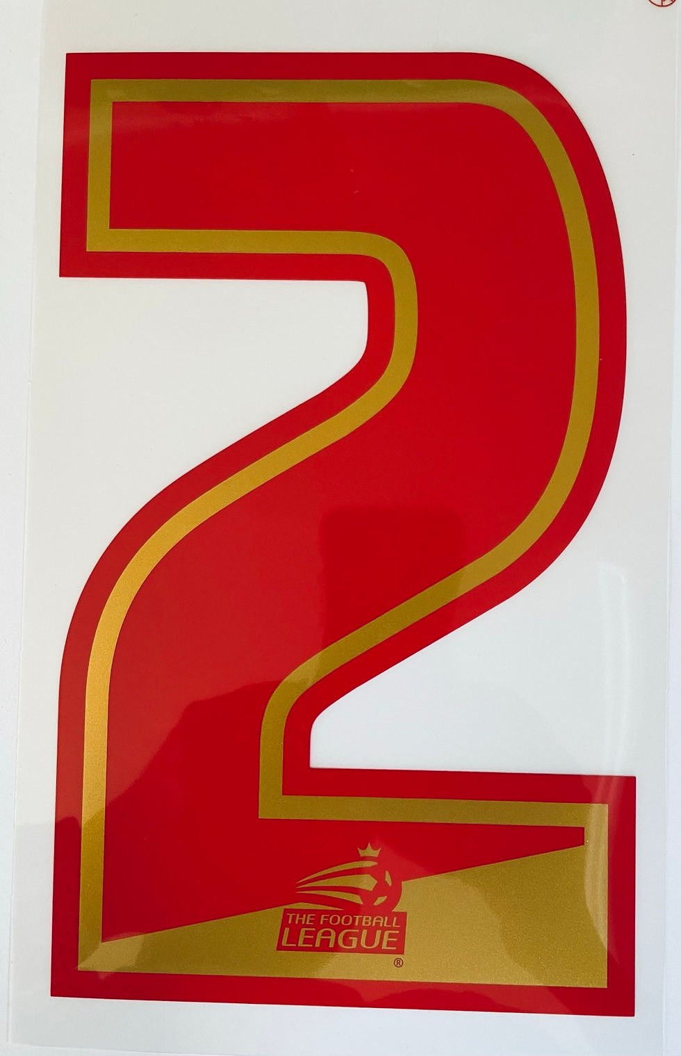 Thumbnail: ENGLISH FOOTBALL LEAGUE 2007-2013 PLAYER SIZE NUMBER