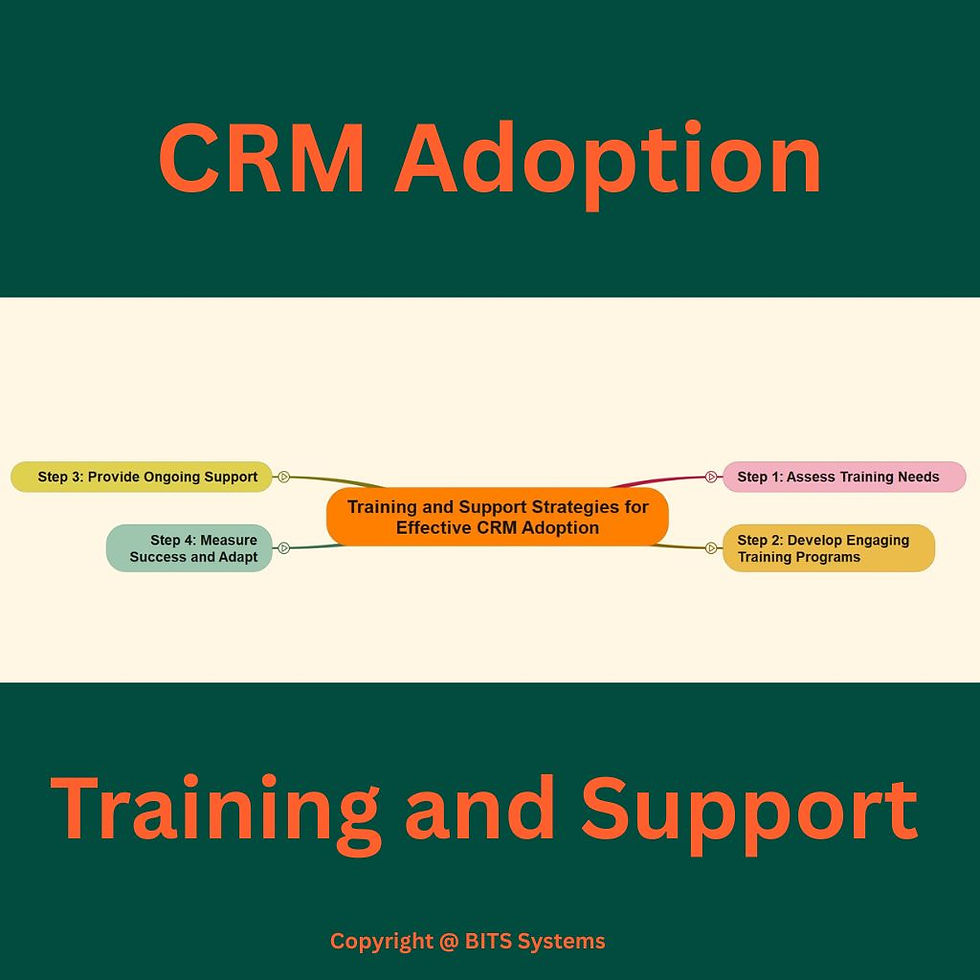 Flowchart and blog graphics for zoho customer relationship management adoption success through enabled training - BITS Systems