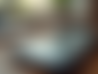 Small Business Social Media Marketing: Essential Tips for Success