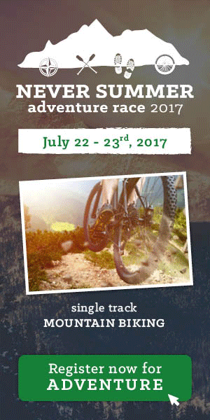Never-Summer---Display-Ad---300x600.gif