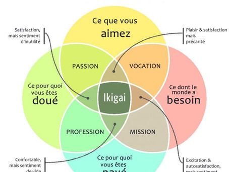 Ikigai 🇯🇵
