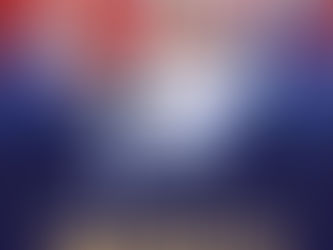 Seniors Combat/Technique