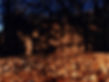 Labyrinth - Rhodes University, 1999