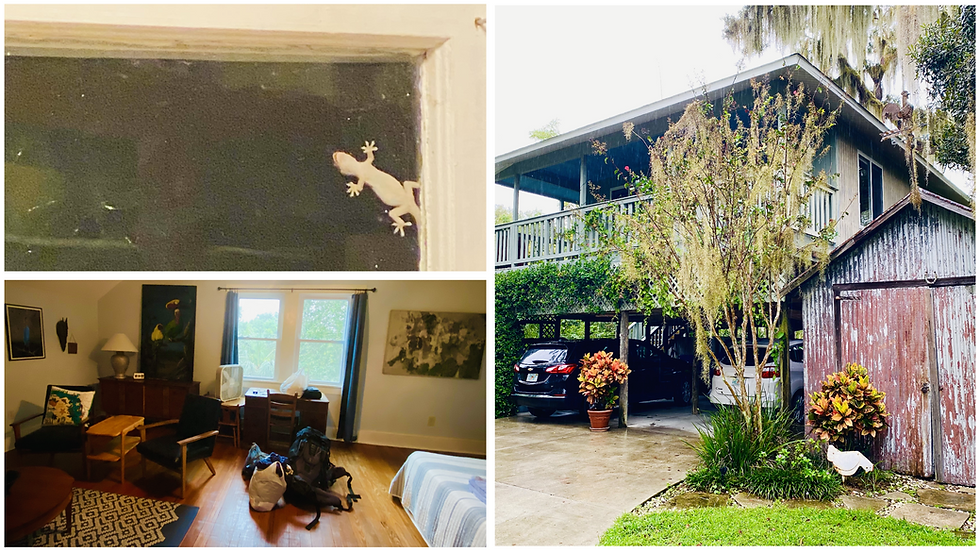 15 - bei Daniel konnten wir den Lizards beim Abendessen zusehen