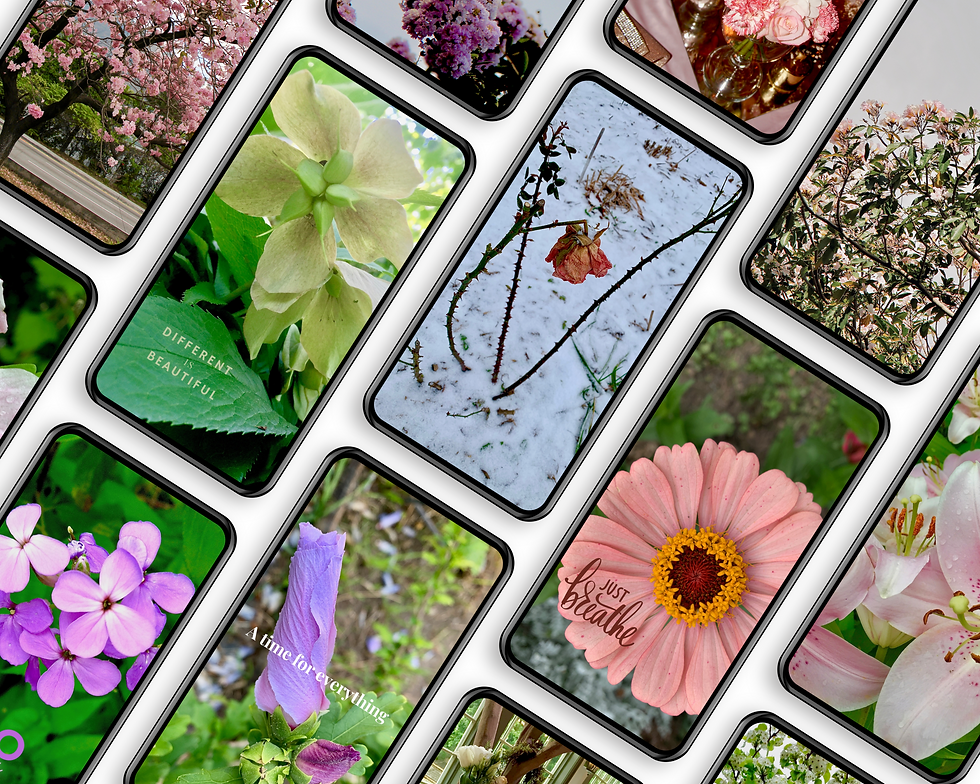 14 Floral Pastel Phone Wallpapers