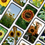 Thumbnail: 13 Floral Sunflowers Phone Wallpapers