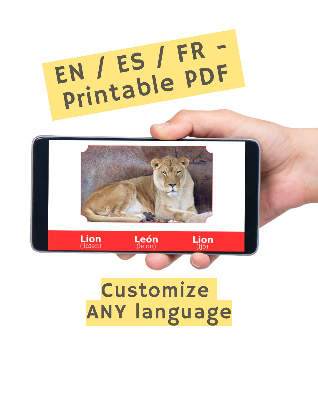 Lion Trilingual Flashcard on a phone with a hand holding it