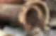 tree-roots-in-drains2.webp