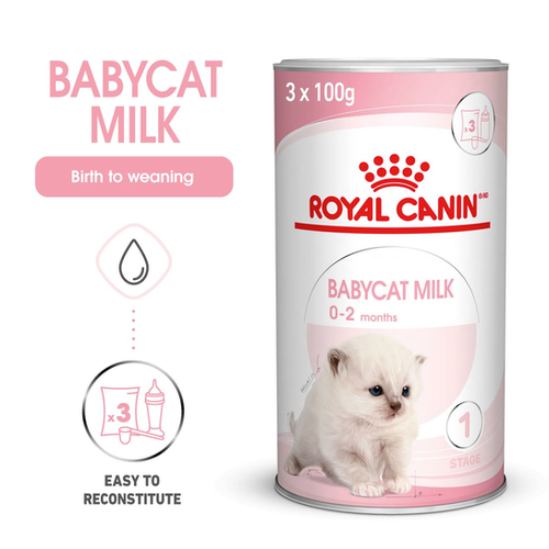 Royal Canin Babycat Milk 300g | Catfe Mao