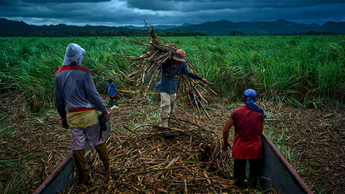 "Sobre o problema da terra, da classe camponesa e da revolução agrária nas Filipinas"