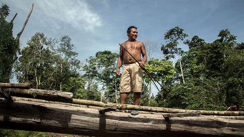 "Indígenas assumem ações contra crime organizado"