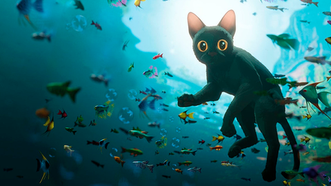 "Enfrentando o dilúvio"