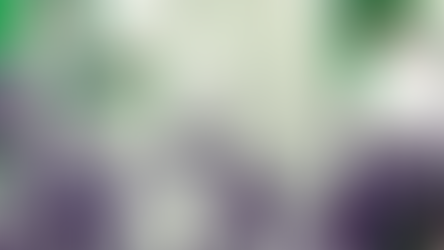 "Argélia, 01 de novembro de 1954"